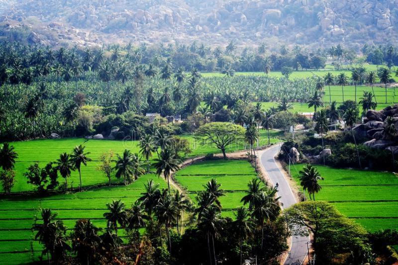 Lee Homestay Hampi Exterior photo
