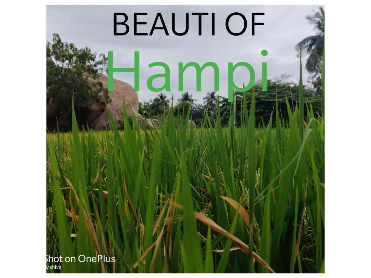 Lee Homestay Hampi Exterior photo
